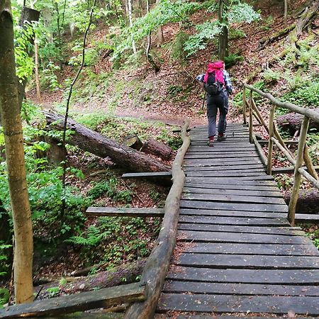 Ferienapartment Bergstation Braunlage Zewnętrze zdjęcie