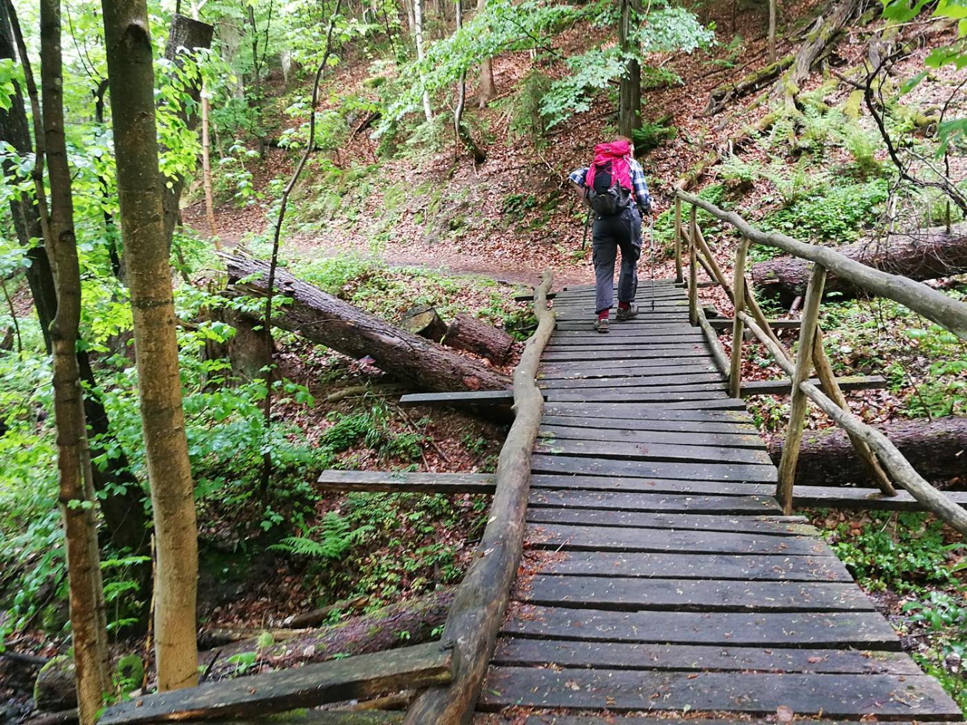 Ferienapartment Bergstation Braunlage Zewnętrze zdjęcie