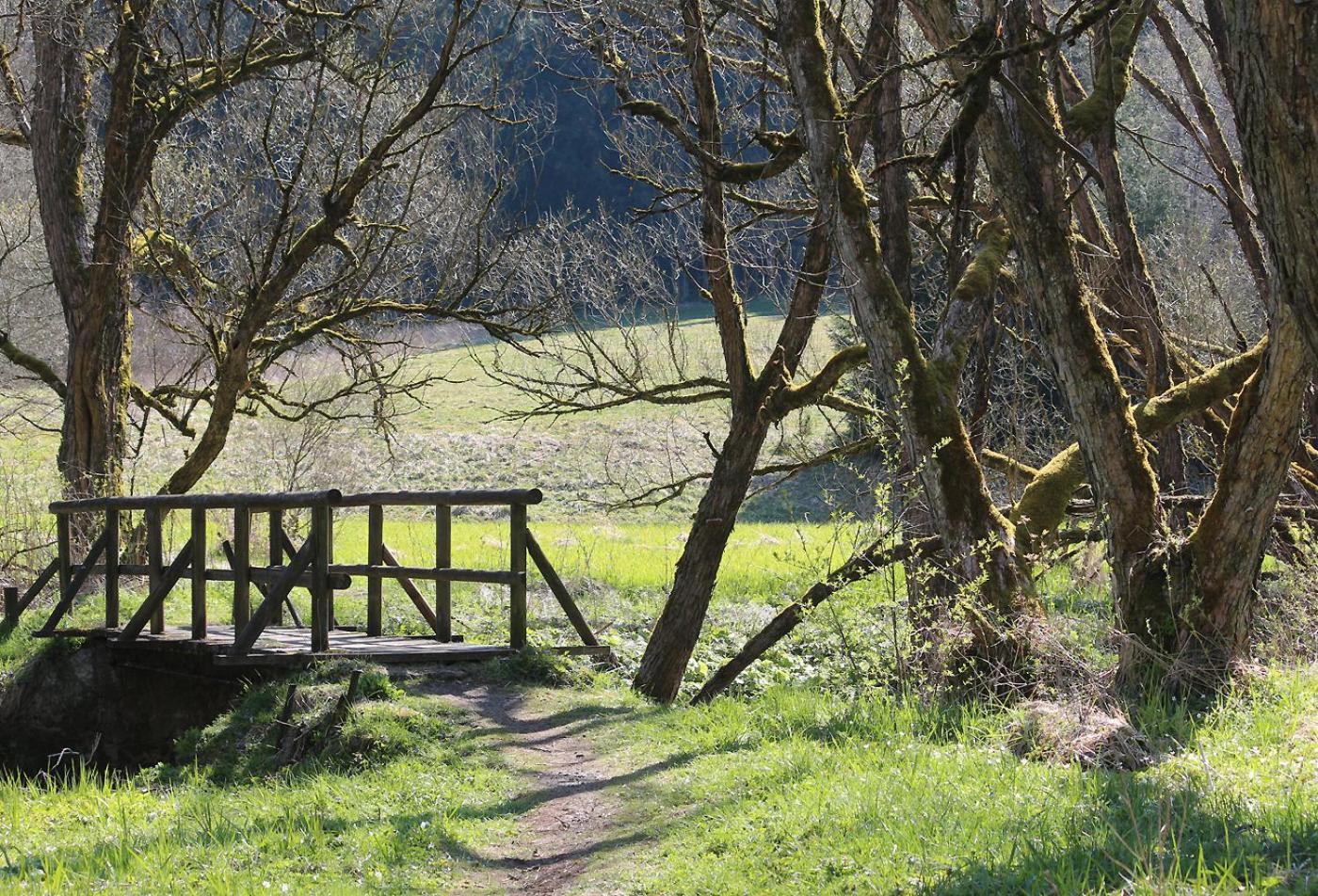 Ferienapartment Bergstation Braunlage Zewnętrze zdjęcie