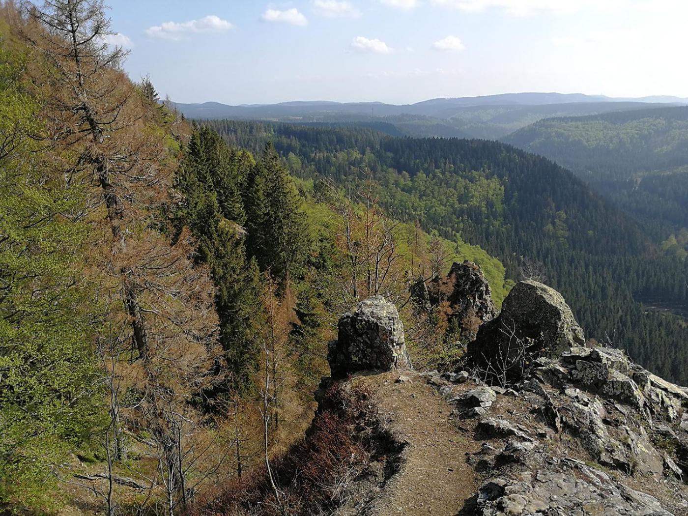 Ferienapartment Bergstation Braunlage Zewnętrze zdjęcie