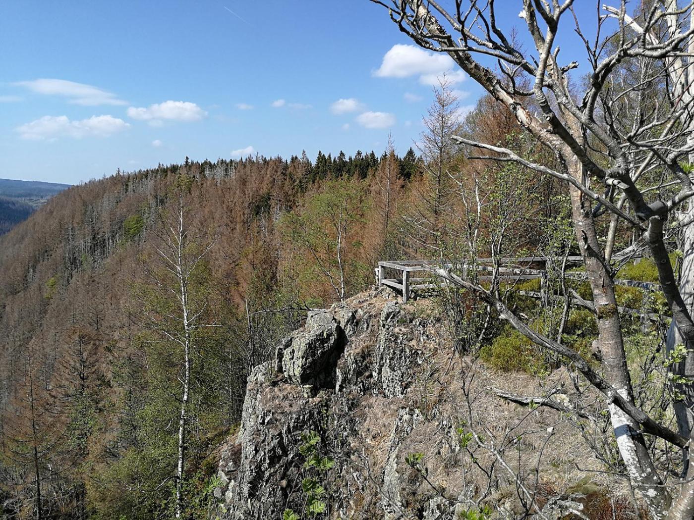Ferienapartment Bergstation Braunlage Zewnętrze zdjęcie