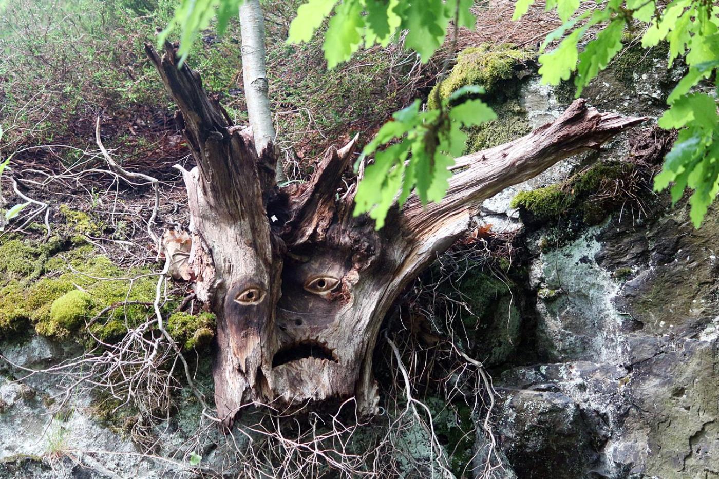 Ferienapartment Bergstation Braunlage Zewnętrze zdjęcie